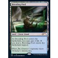 [EX]繁殖池/Breeding Pool《英語》【SLD】
