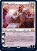 [EX+]華やいだエルズペス/Elspeth Resplendent《日本語》【SNC】