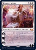 (FOIL)華やいだエルズペス/Elspeth Resplendent《日本語》【SNC】