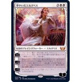 [EX+]華やいだエルズペス/Elspeth Resplendent《日本語》【SNC】