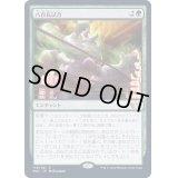 (FOIL)八百長試合/Fight Rigging《日本語》【SNC】