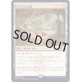 [EX](FOIL)ジェトミアの庭/Jetmir's Garden《日本語》【SNC】