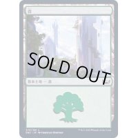 (FOIL)(270)森/Forest《日本語》【SNC】