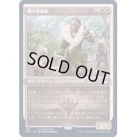 (FOIL)(463)噂の蒐集家/Rumor Gatherer《日本語》【SNC】