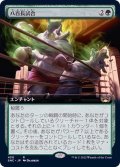 (FOIL)(フルアート)八百長試合/Fight Rigging《日本語》【SNC】
