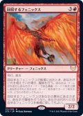 回収するフェニックス/Retriever Phoenix《日本語》【STX】