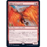 回収するフェニックス/Retriever Phoenix《日本語》【STX】