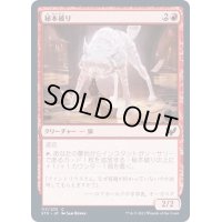 (FOIL)秘本破り/Tome Shredder《日本語》【STX】
