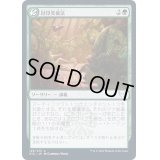 (FOIL)封印突破法/Containment Breach《日本語》【STX】
