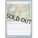 (FOIL)貪る触手/Devouring Tendrils《日本語》【STX】