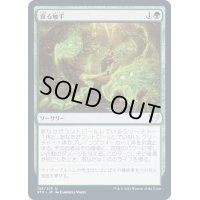 (FOIL)貪る触手/Devouring Tendrils《日本語》【STX】