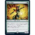 (FOIL)龍護りの精鋭/Dragonsguard Elite《日本語》【STX】