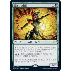 画像1: (FOIL)龍護りの精鋭/Dragonsguard Elite《日本語》【STX】