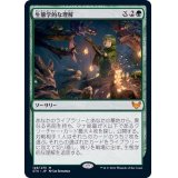 [EX+]生態学的な理解/Ecological Appreciation《日本語》【STX】