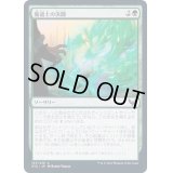 (FOIL)魔道士の決闘/Mage Duel《日本語》【STX】