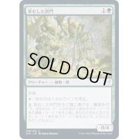 (FOIL)草むした拱門/Overgrown Arch《日本語》【STX】