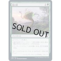 (FOIL)絡み罠/Tangletrap《日本語》【STX】