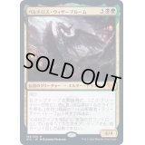 (FOIL)ベレドロス・ウィザーブルーム/Beledros Witherbloom《日本語》【STX】