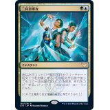 二科目専攻/Double Major《日本語》【STX】