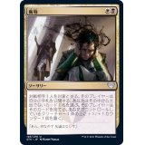 侮辱/Humiliate《日本語》【STX】