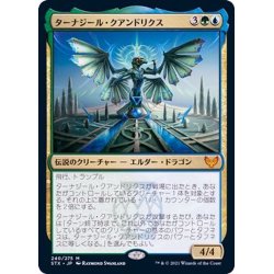 画像1: (FOIL)ターナジール・クアンドリクス/Tanazir Quandrix《日本語》【STX】