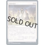 (FOIL)自身の誇示/Show of Confidence《日本語》【STX】