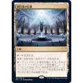 (FOIL)神託者の広間/Hall of Oracles《日本語》【STX】