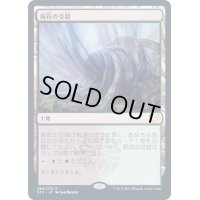 (FOIL)屍花の交錯/Necroblossom Snarl《日本語》【STX】