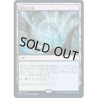 [EX+](FOIL)蔦明の交錯/Vineglimmer Snarl《日本語》【STX】