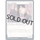 (FOIL)老いざる守護者/Ageless Guardian《日本語》【STX】