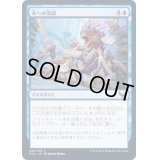 (FOIL)本への没頭/Bury in Books《日本語》【STX】