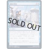 (FOIL)導師の導き/Mentor's Guidance《日本語》【STX】