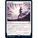 壊滅の熟達/Devastating Mastery《日本語》【STX】