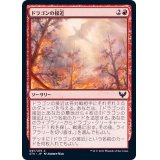 ドラゴンの接近/Dragon's Approach《日本語》【STX】