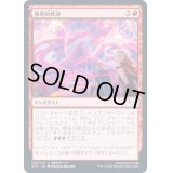 (FOIL)爆発的歓迎/Explosive Welcome《日本語》【STX】