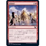 授業初日/First Day of Class《日本語》【STX】