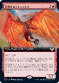 (フルアート)回収するフェニックス/Retriever Phoenix《日本語》【STX】