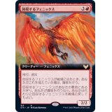 (フルアート)回収するフェニックス/Retriever Phoenix《日本語》【STX】