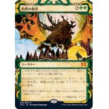 [EX+](FOIL)(アーカイブ)自然の秩序/Natural Order《日本語》【STA】