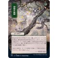 (FOIL)(日限定イラスト)冒険の衝動/Adventurous Impulse※コレクターブースター産《日本語》【STA】