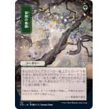 (FOIL)(日限定イラスト)冒険の衝動/Adventurous Impulse※コレクターブースター産《日本語》【STA】