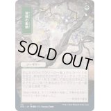 (FOIL)(日限定イラスト)冒険の衝動/Adventurous Impulse※ドラフト・セットブースター産《日本語》【STA】