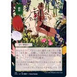 (FOIL)(日限定イラスト)耕作/Cultivate※ドラフト・セットブースター産《日本語》【STA】