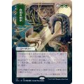 [EX+](FOIL)(日限定イラスト)自然の秩序/Natural Order※コレクターブースター産《日本語》【STA】