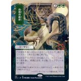 [EX+](FOIL)(日限定イラスト)自然の秩序/Natural Order※コレクターブースター産《日本語》【STA】
