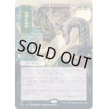 (FOIL)(日限定イラスト)自然の秩序/Natural Order※ドラフト・セットブースター産《日本語》【STA】