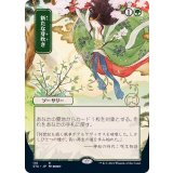 (日限定イラスト)新たな芽吹き/Regrowth《日本語》【STA】