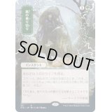[EX+](エッチングFOIL)(日限定イラスト)嵐の乗り切り/Weather the Storm《日本語》【STA】