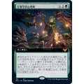 (FOIL)(フルアート)生態学的な理解/Ecological Appreciation《日本語》【STX】