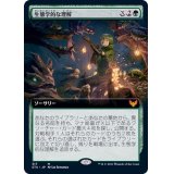 (FOIL)(フルアート)生態学的な理解/Ecological Appreciation《日本語》【STX】